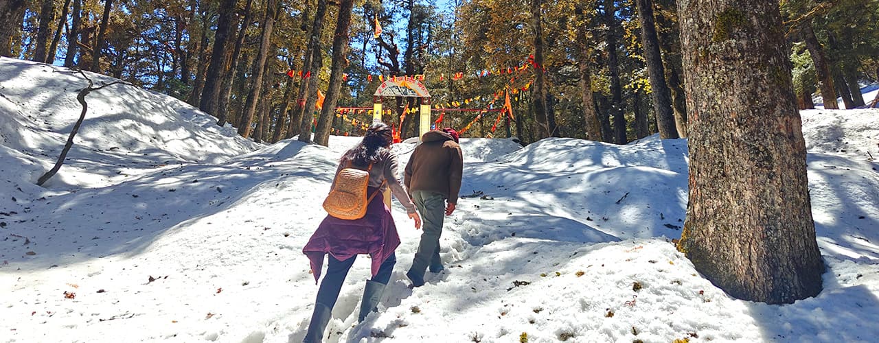 Auli Chopta