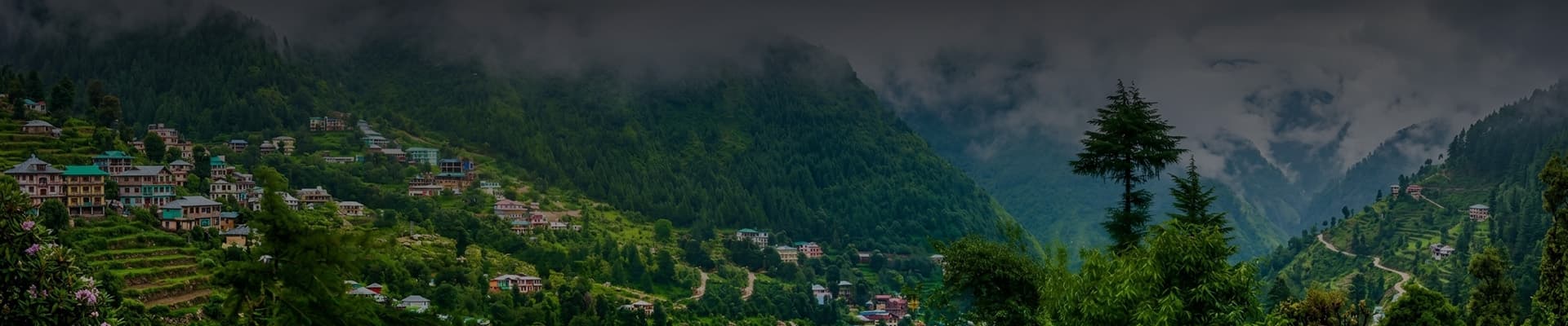 Triund Trek Buddha Purnima Weekend 