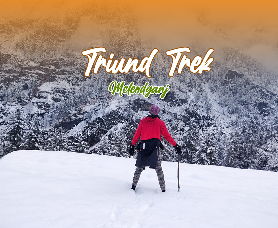 Mcleodganj Triund Bir Republic Day Trip