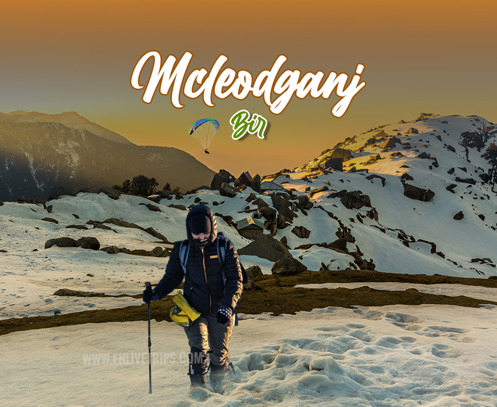 Mcleodganj Triund Bir Republic Day Trip
