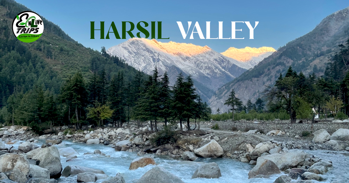 Best Time to Visit Harsil valley- Complete guide & itinerary - Enlivetrips